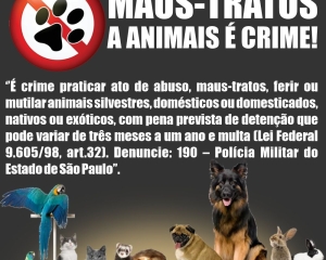 maus-tratos-animai.jpg