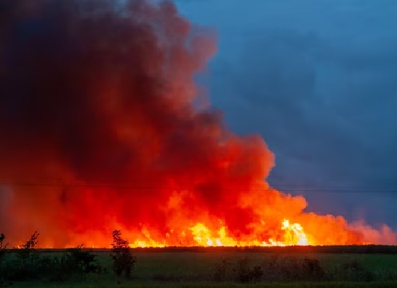 ATENÇÃO, PRODUTORES RURAIS E MORADORES DO CAMPO!