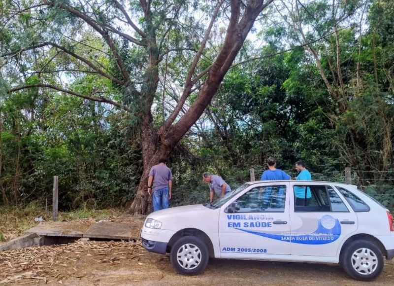 Córrego Lagoa pede socorro: lixo e poluição favorecem proliferação de pernilongos