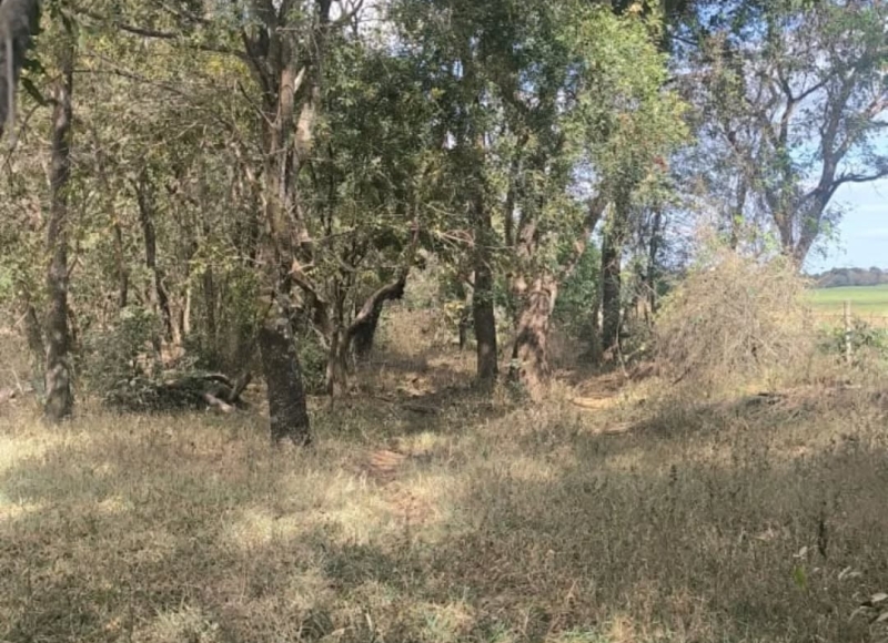 Preparação para a construção da Pista de Caminhada e Ciclovia no Tirisco