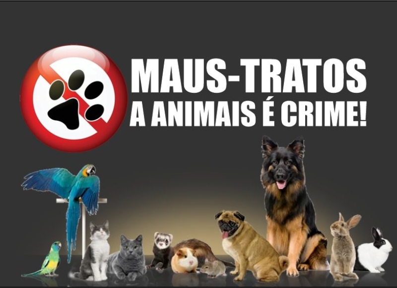 Sanciona lei que obriga afixação de placas contra maus-tratos a animais em pet-shops e clínicas veterinárias