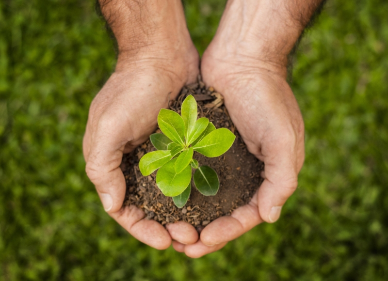 Instituto Nova Era  abre Processo Seletivo Simplificado para contratação temporária em Santa Rosa de Viterbo