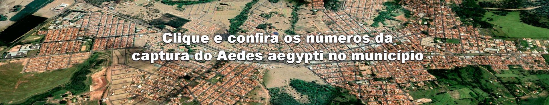 MONITORAMENTO ARMADILHAS