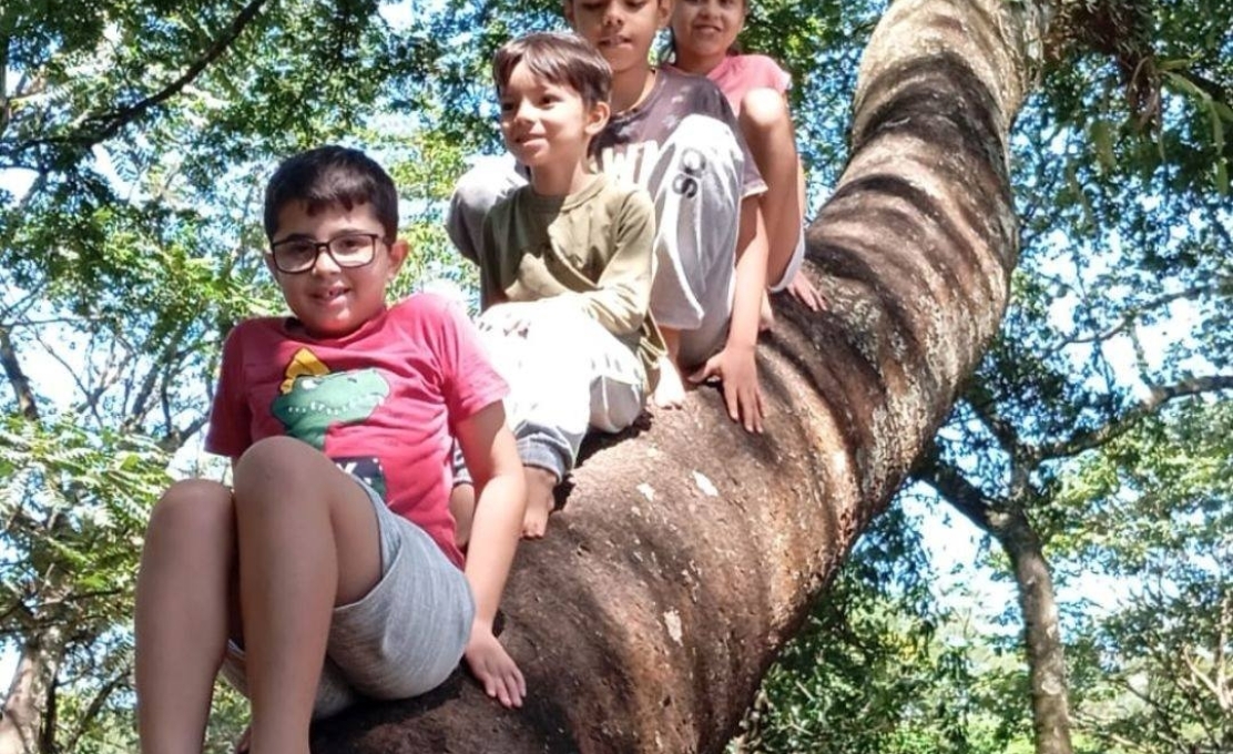 O Bosque Aberto em Santa Rosa de Viterbo foi um verdadeiro mergulho na natureza e na cultura local!