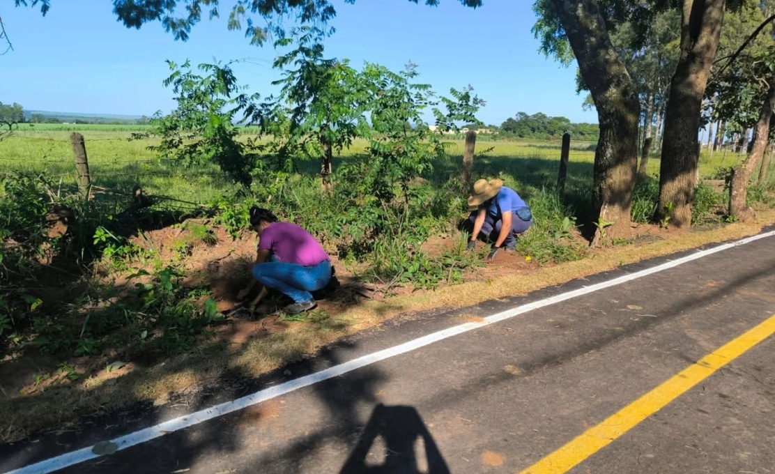 Mais verde na Ciclovia e Trilha de Caminhada do Tirisco
