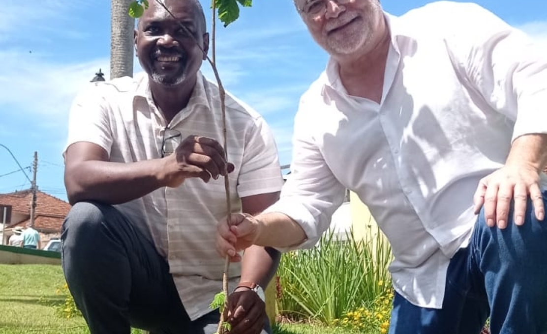 Plantio na Praça da Matriz marca lançamento da Campanha de Arborização Urbana