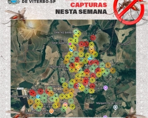 alerta-dengue-2.jpg