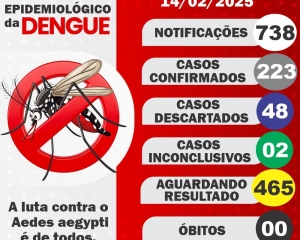 boletim-da-dengue_(388).jpg