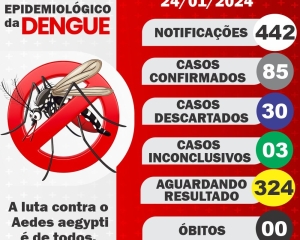 boletim-da-dengue_(5).jpg