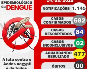 boletim-da-dengue_(74).jpg