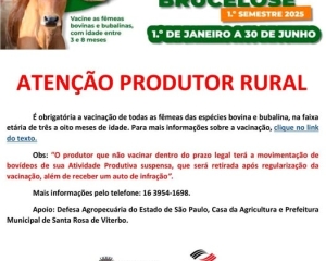 camanha-vacinacao.jpg