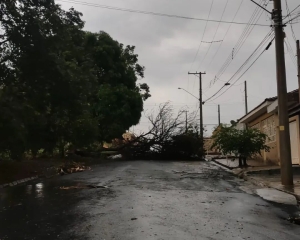 chuva-10.jpg