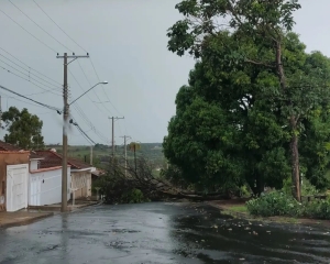 chuva-3.jpg