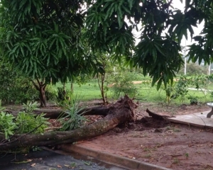chuva-9.jpg