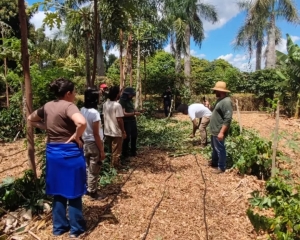 curso-6.jpg