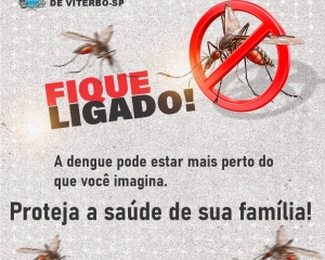 dengue-3_(715).jpg