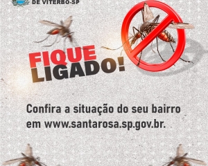 dengue-5.jpg