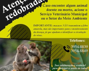 ilustracao-febre-amarela_(706).jpg