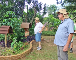 img0299.jpg