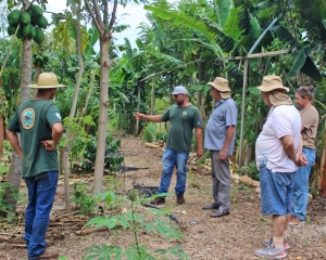 img0332.jpg