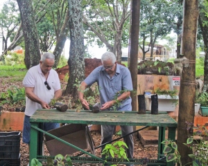 img0386.jpg