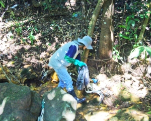 img0394.jpg