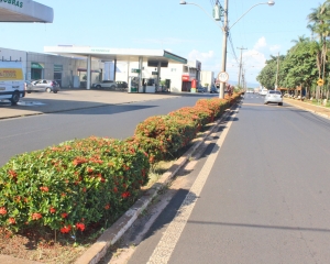 img0454.jpg