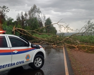 interdicao-2_(565).jpg