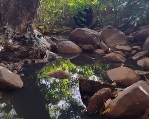 limpeza-5.jpg