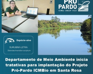 pardo-1.jpg