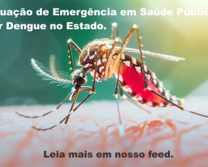 redes_(65).jpg