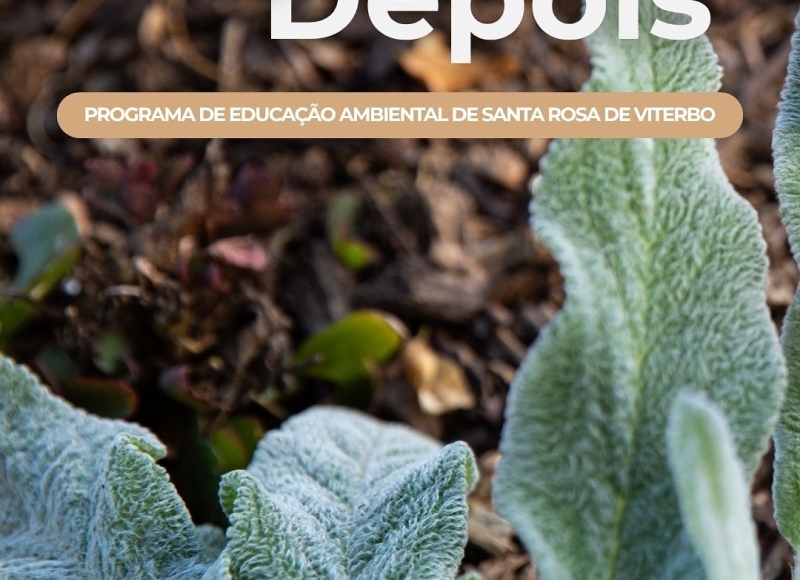 Transformação em Santa Rosa de Viterbo: Confira os resultados incríveis do nosso Programa de Educação Ambiental