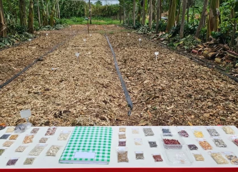 Novidade na Escola de Educação Ambiental: Espaço Sementes é mais um lugar de valorização da biodiversidade