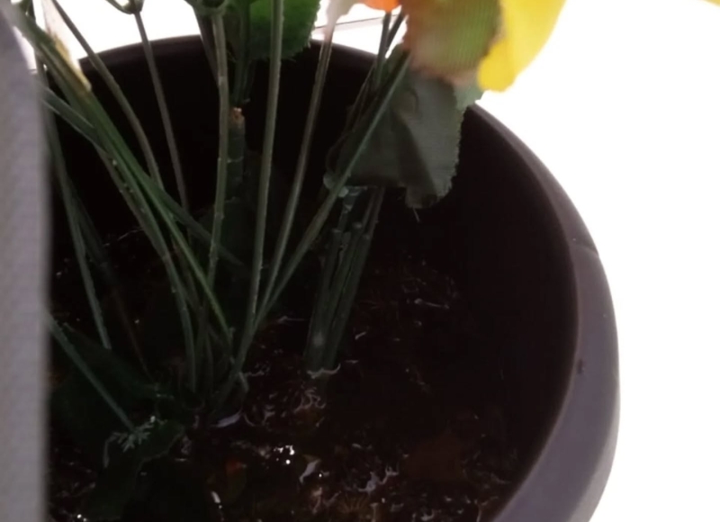 Ação de Controle de Endemias no Cemitério durante o Período de Finados