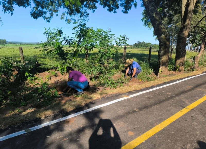 Mais verde na Ciclovia e Trilha de Caminhada do Tirisco