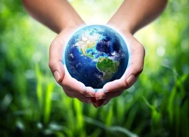 Hoje é o Dia Mundial do Meio Ambiente
