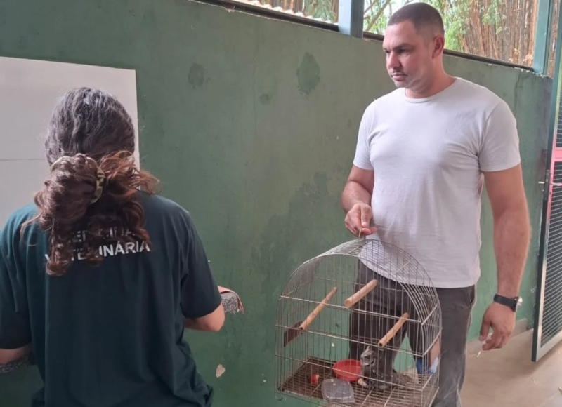 Departamento de Meio Ambiente resgata Corujinha-do-Mato com asa quebrada