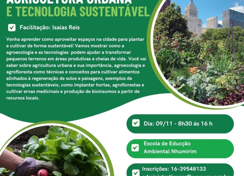 Curso 