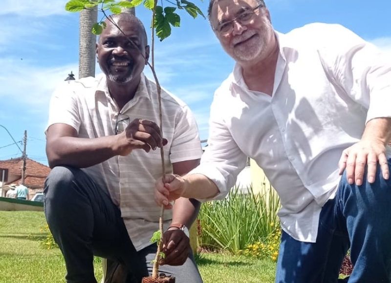 Plantio na Praça da Matriz marca lançamento da Campanha de Arborização Urbana