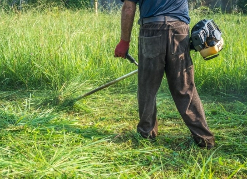 Setor de Fiscalização de Posturas publica novo edital para limpeza de terrenos