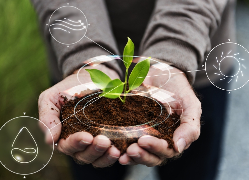 Curso: Criando Paisagens Regenerativas com Plantas Nativas e Práticas Agroflorestais