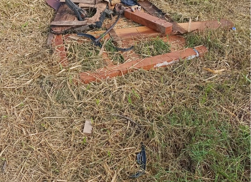 Projeto Floresta Viva: cuidar juntos, com organização 